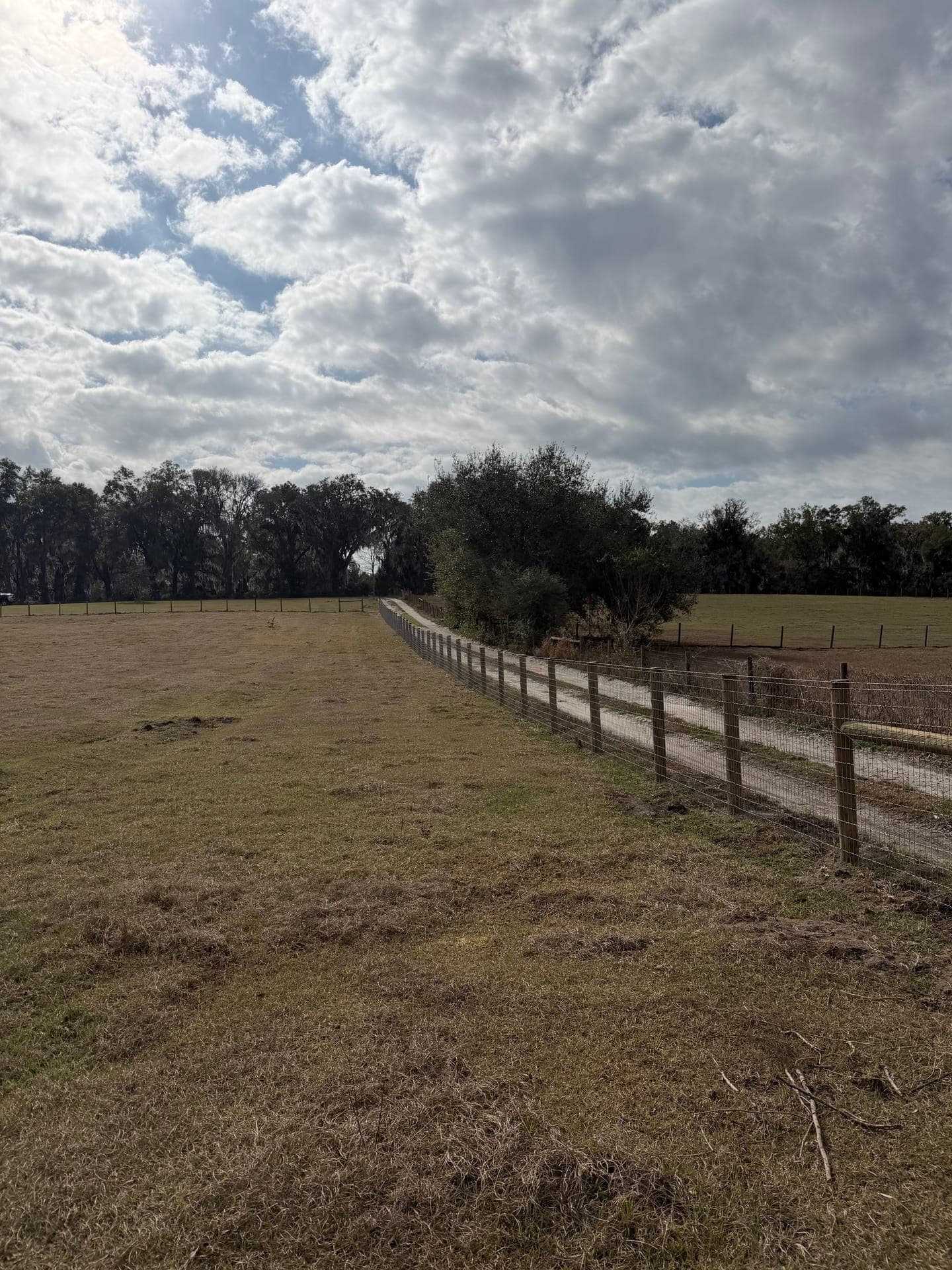 Vinyl ranch-style fencing on rural acreage