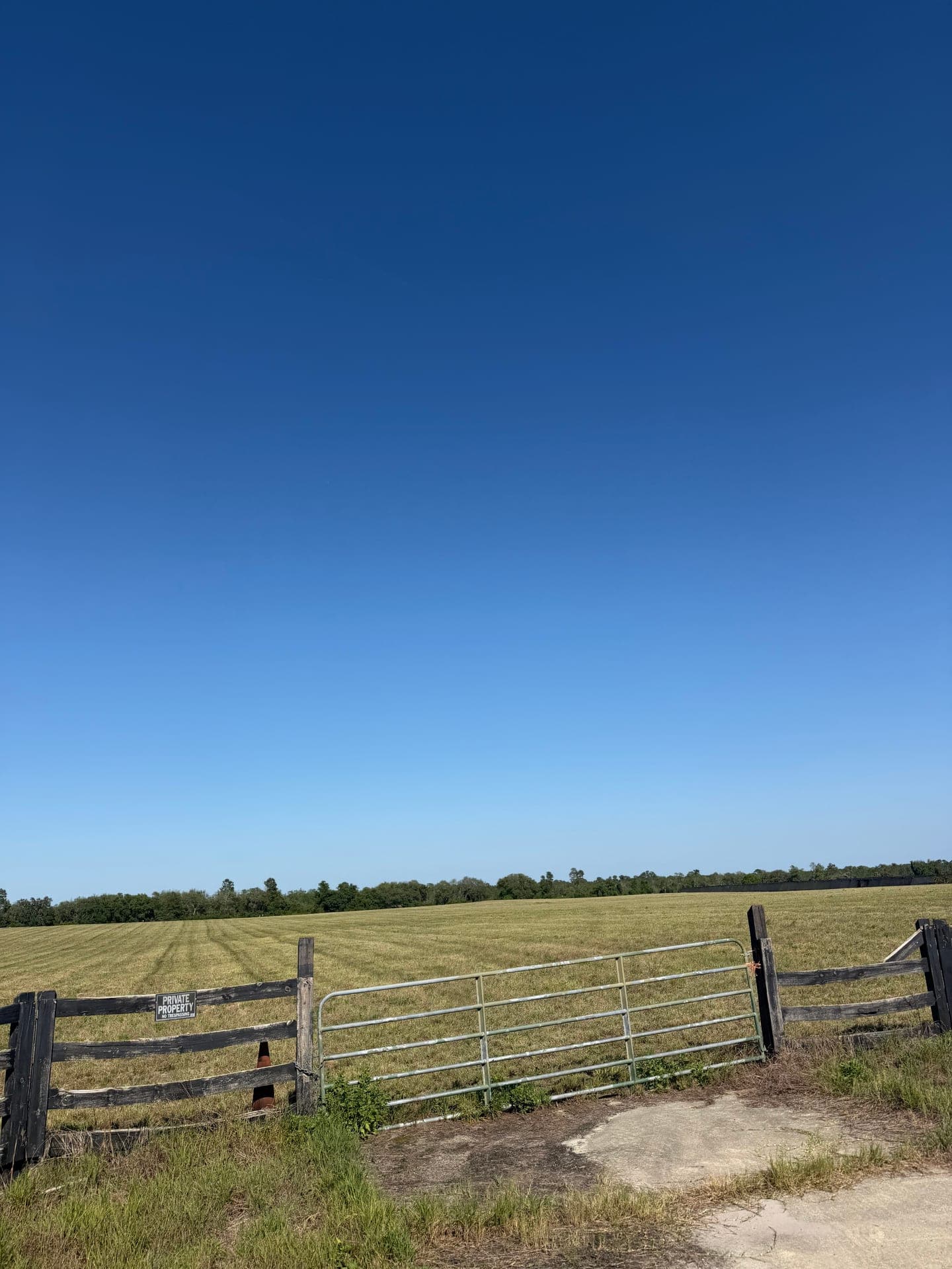 Freshly mowed hay pasture behind a farm gate in Volusia County FL, with the finished field visible to the tree line