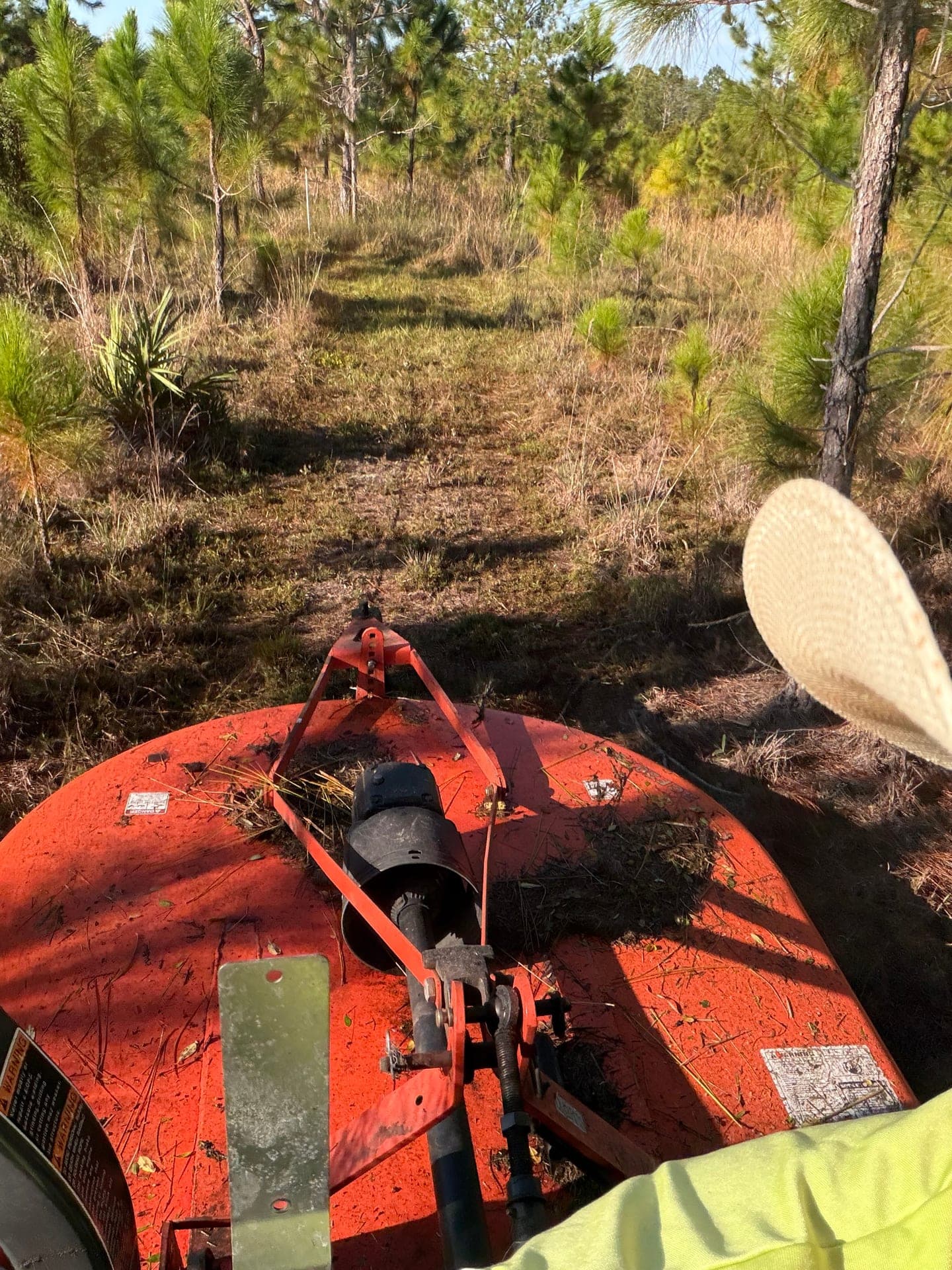 Vegetation Management on Central Florida property