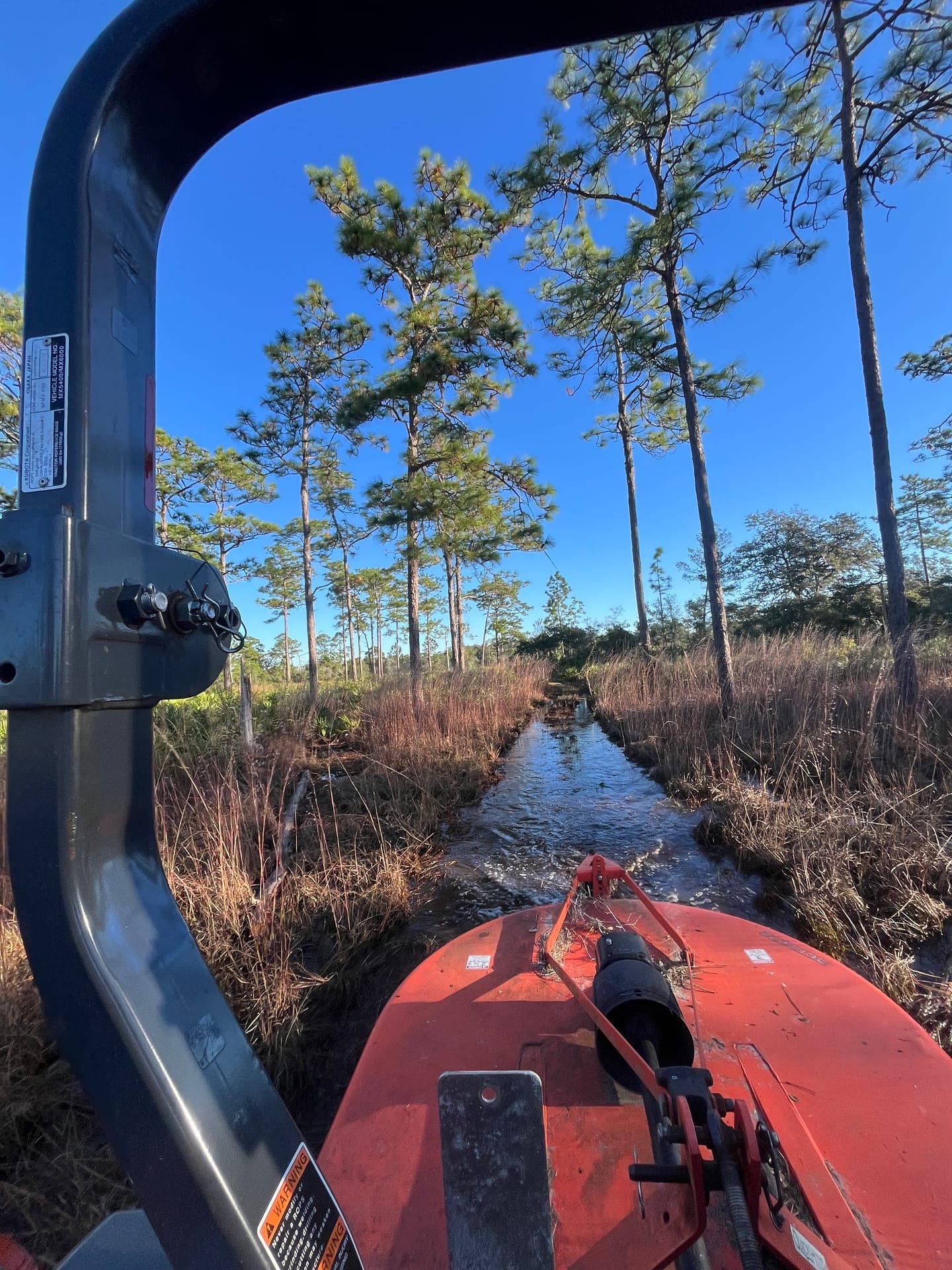 Light Land Clearing Support on Central Florida property