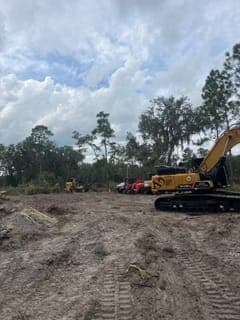 Property after invasive vegetation removal