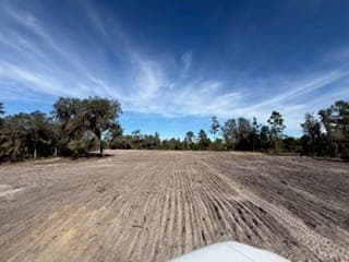 Ground levelled and ready to seed after stump work