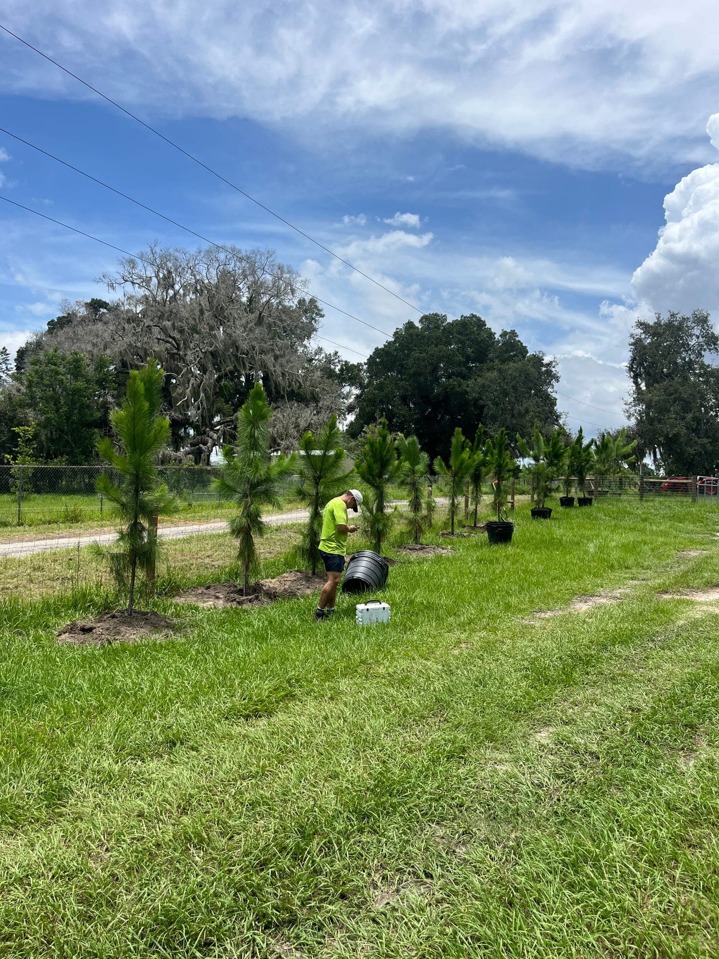Brush pile being removed from a cleared lot