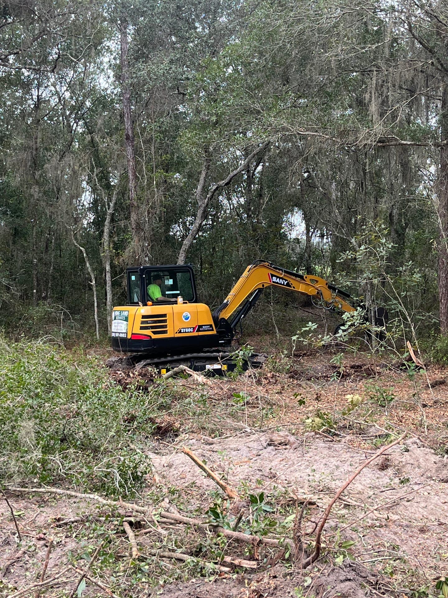 Heavy equipment clearing brush and small trees