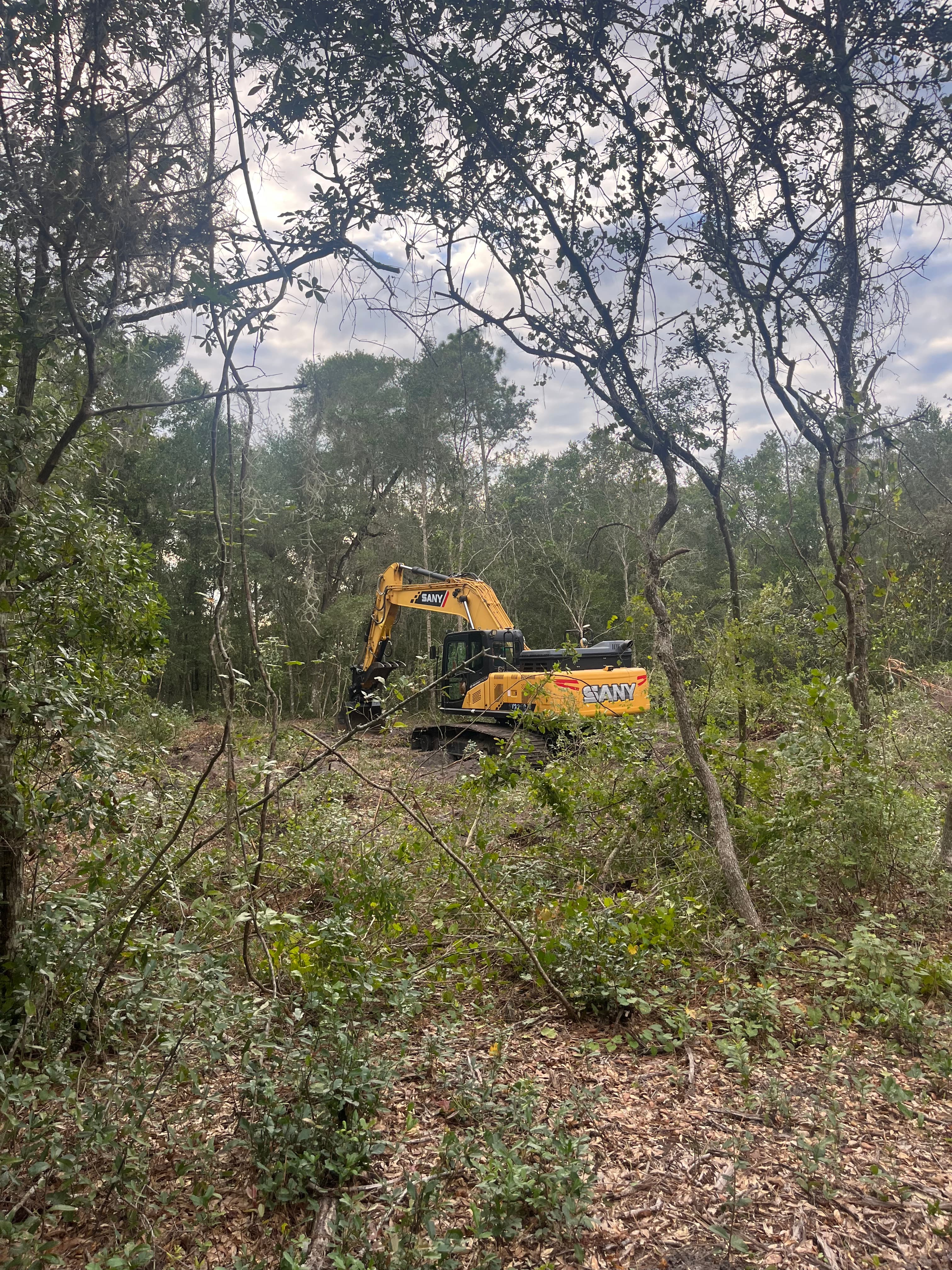 Site Services in Bethune Beach FL