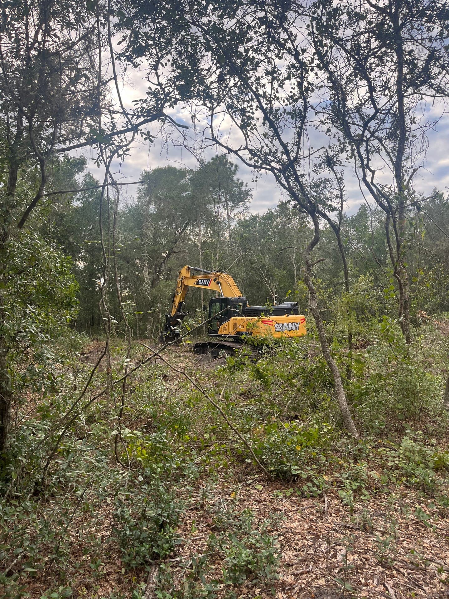 Site Services in Satsuma FL