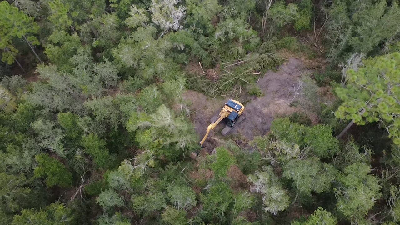 Excavator working through dense underbrush