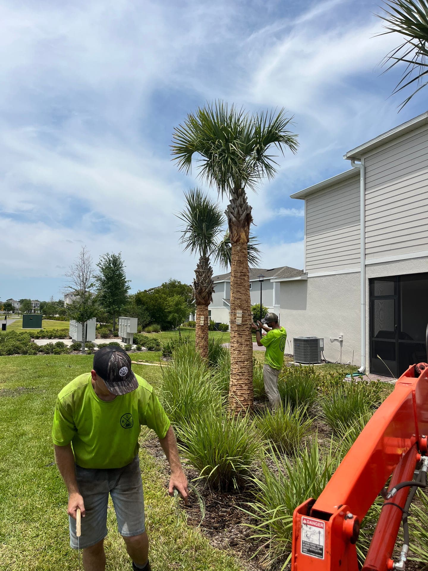 Emergency tree cleanup after hurricane