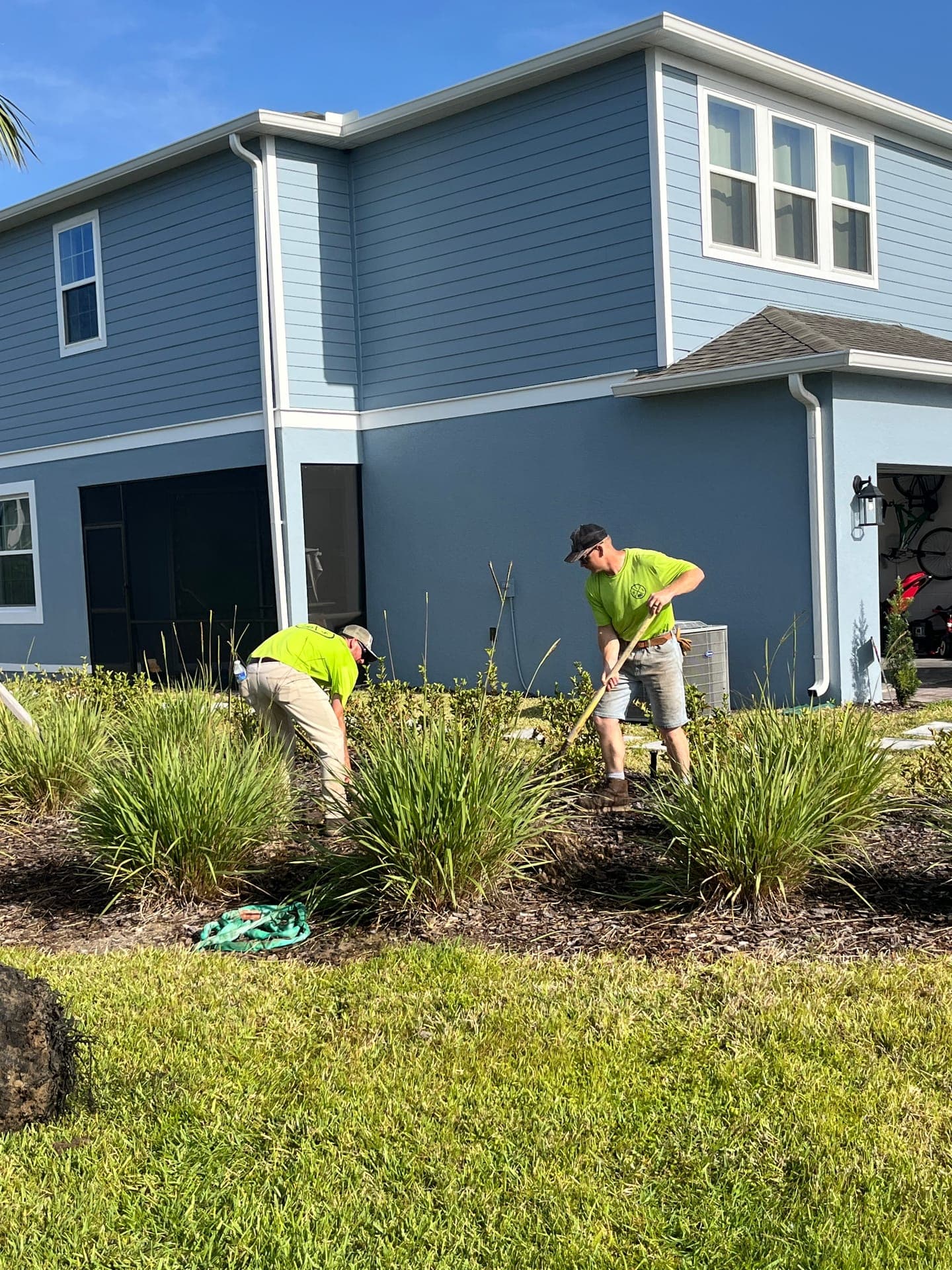 Overgrown tree pruning in DeLand FL