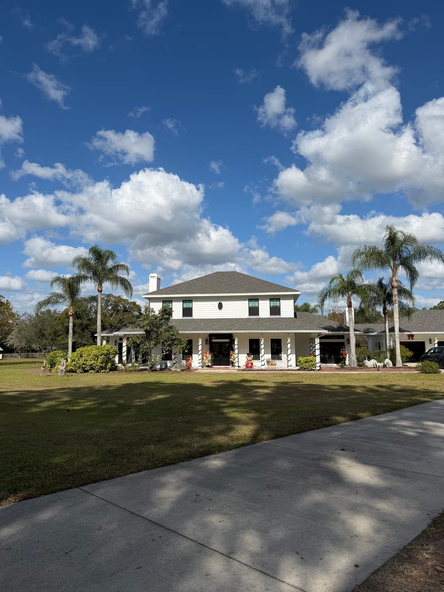 Cleanup of debris after a tree removal job
