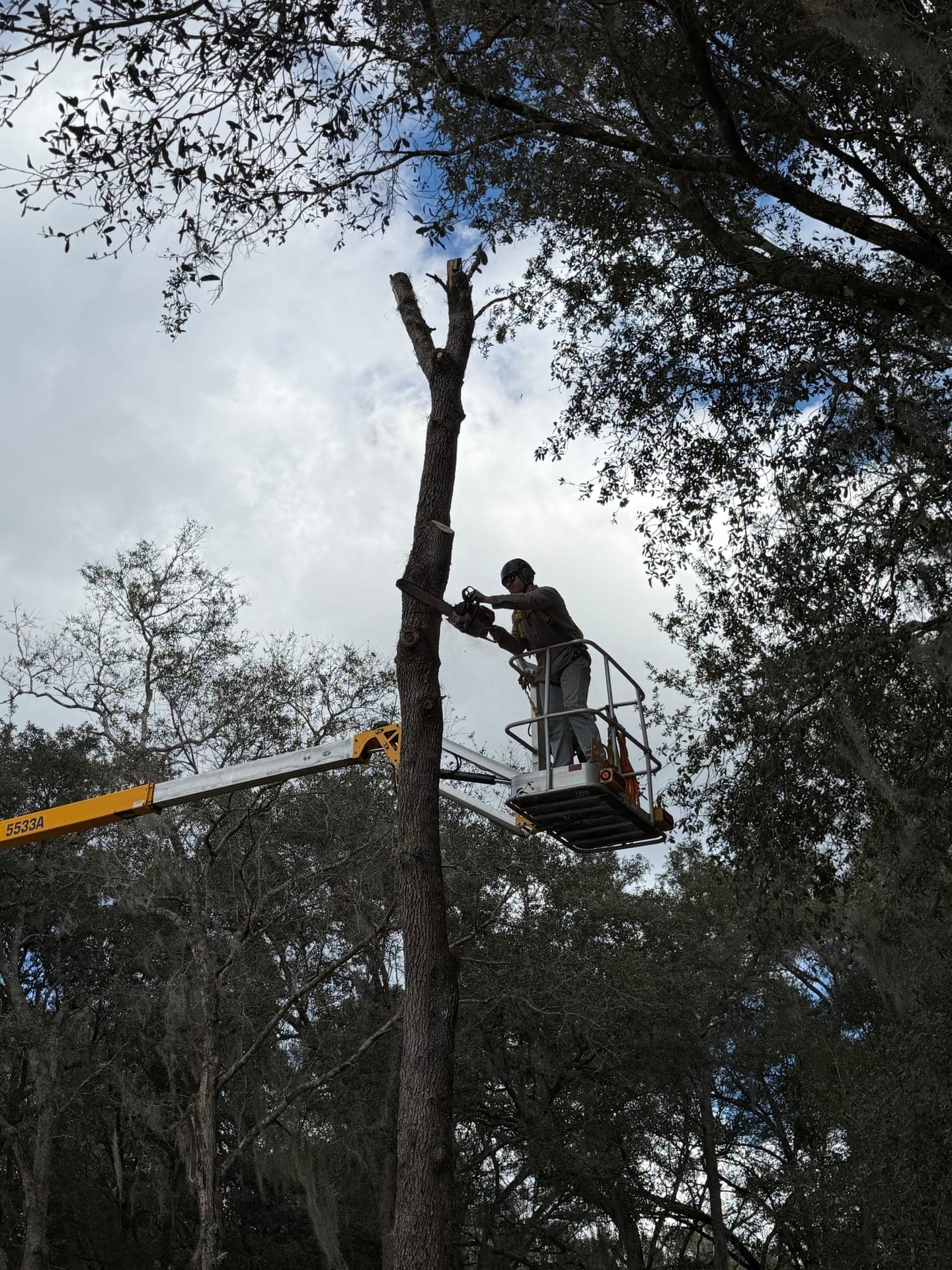 HLS crew completing a residential tree job