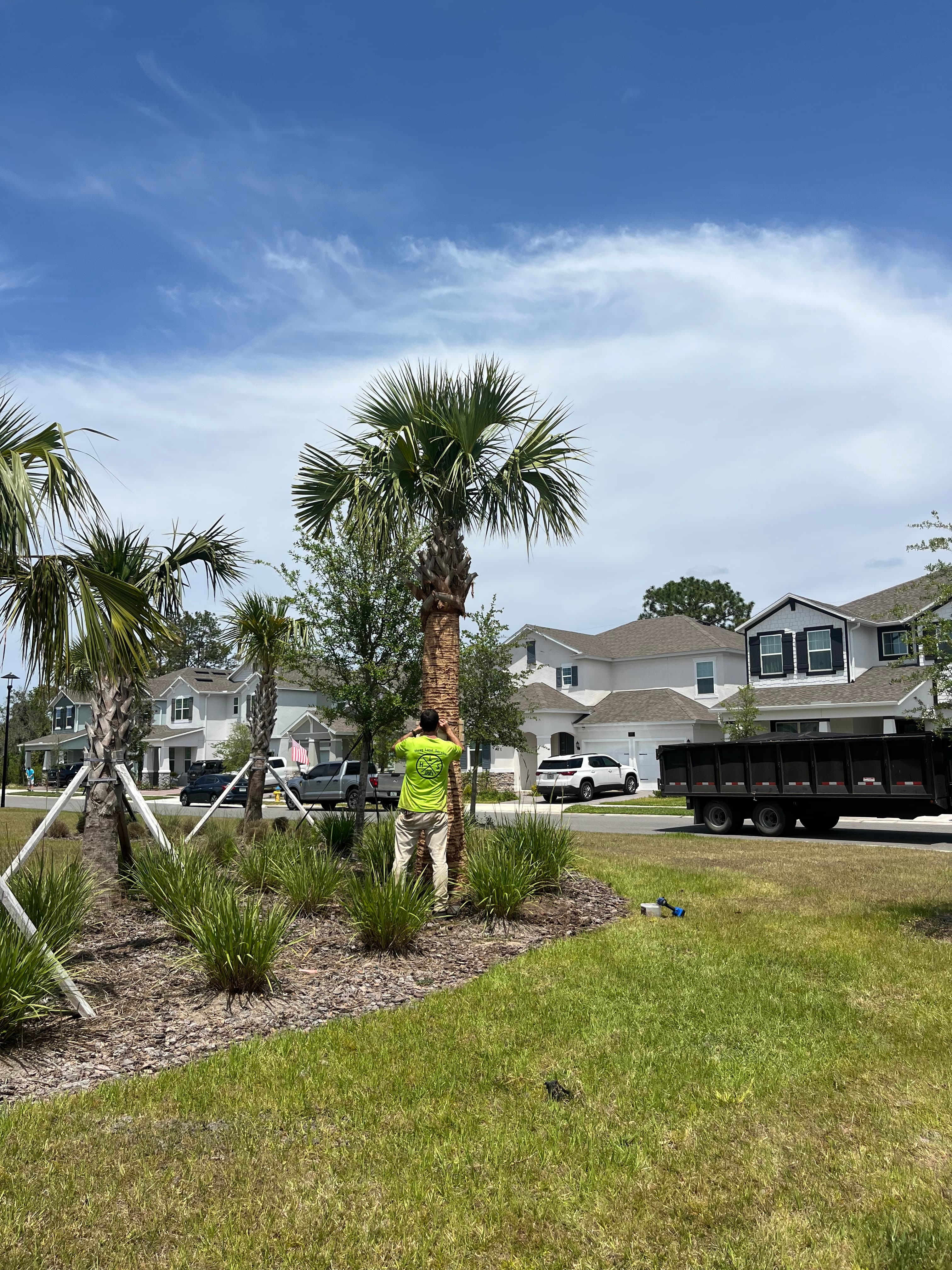 Tree Services in Enterprise FL
