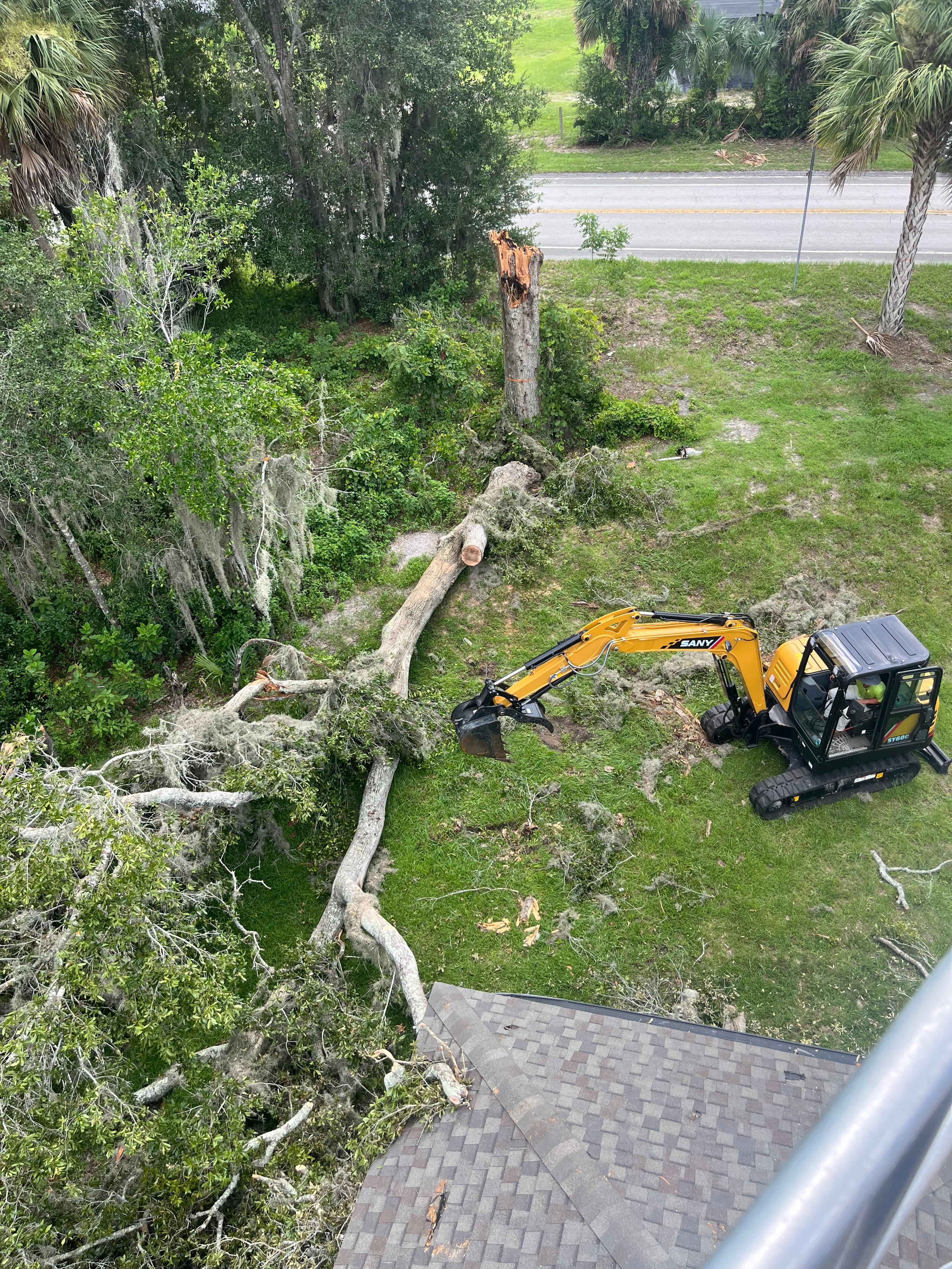 Tree Services in St. Augustine FL