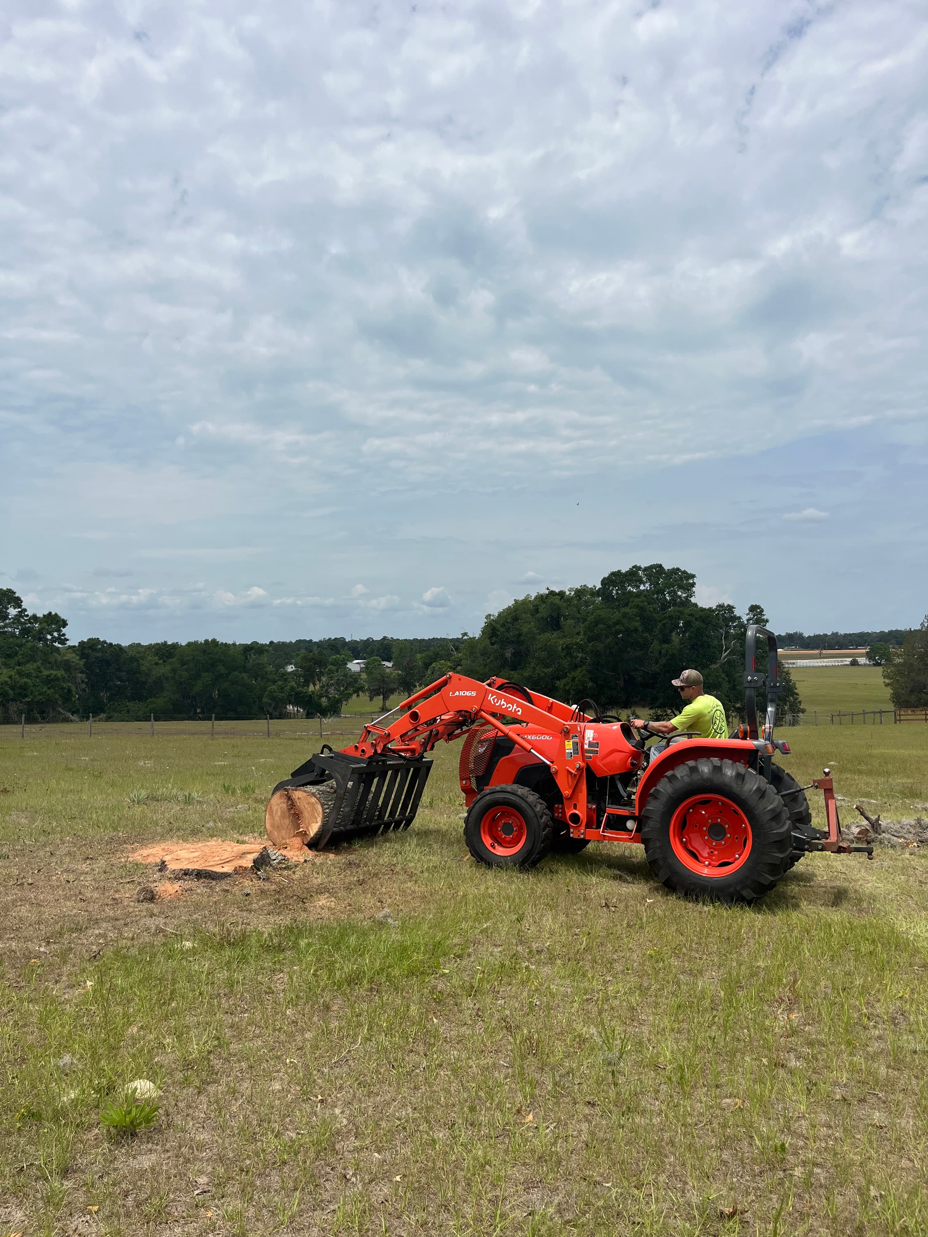 Tree Services in Edgewater FL