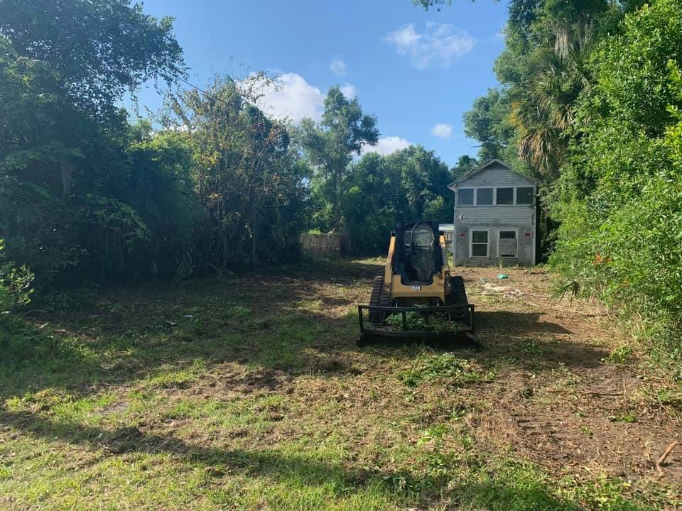 Skid steer bush hog clearing an overgrown DeLand lot: before and after in one frame
