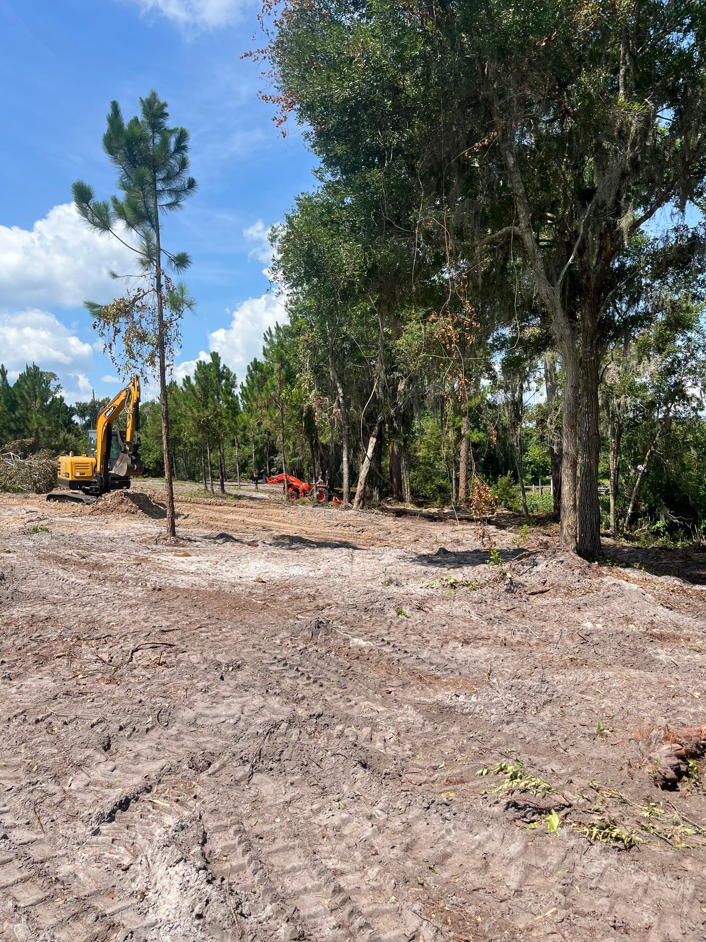 Hoag Land Services excavator clearing a lakeshore parcel in DeLand FL